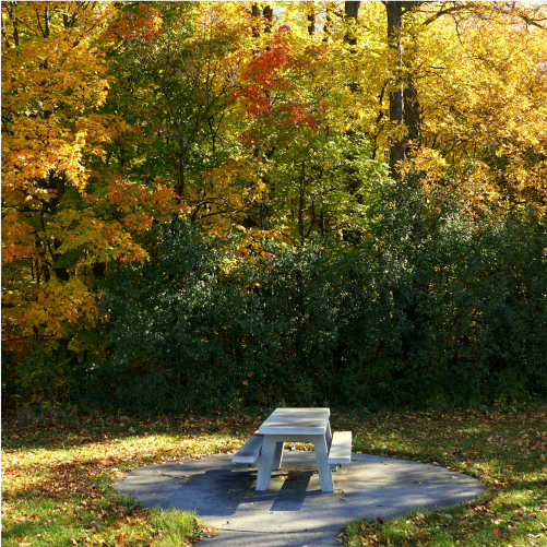 Watertown New York & ART Airport Car Rentals Economy Rent a Car