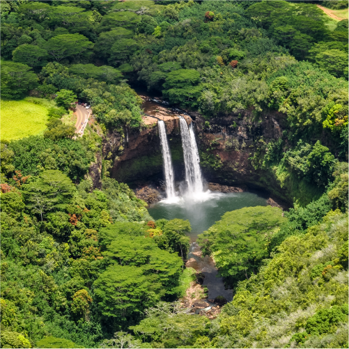 Economy Rent a Car Lihue