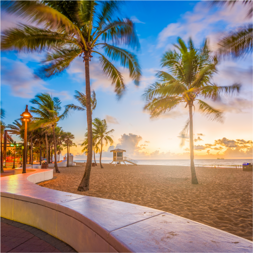 Economy Rent a Car Fort Lauderdale