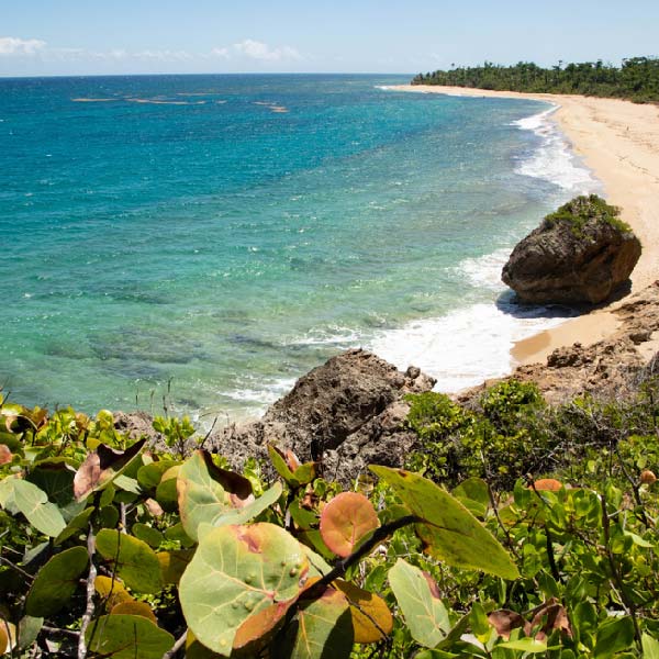 Economy Rent a Car Aguadilla
