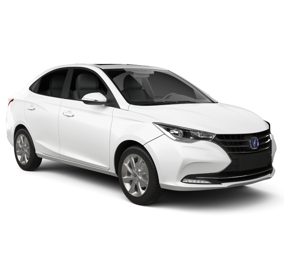 Intermediate 2/4 Door - Changan Alsvin